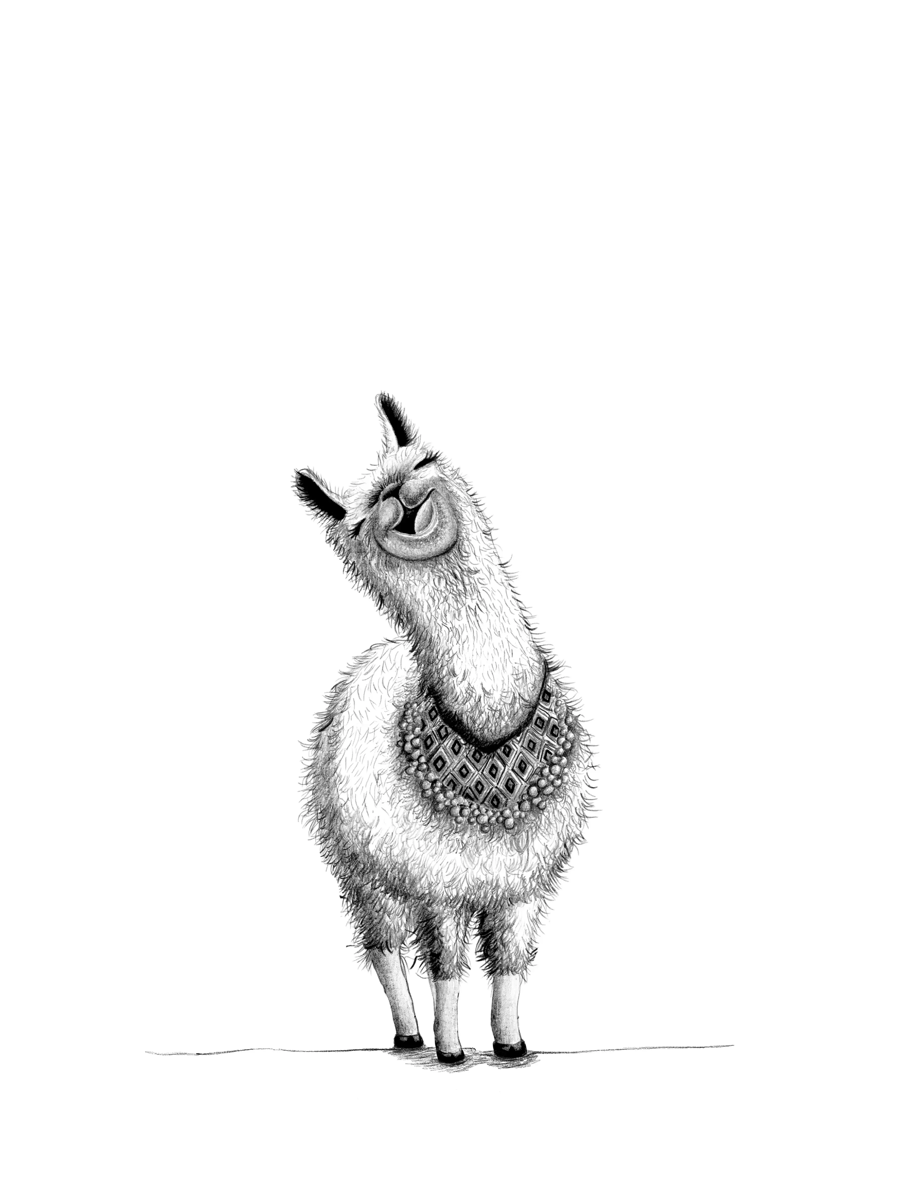 llama