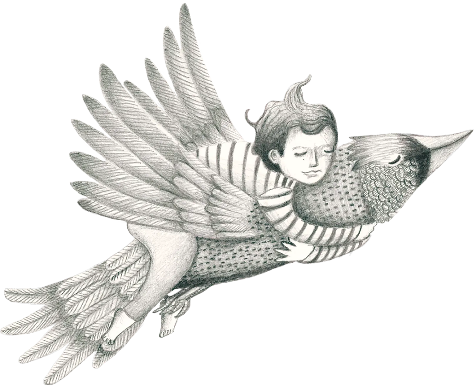 Pájaro