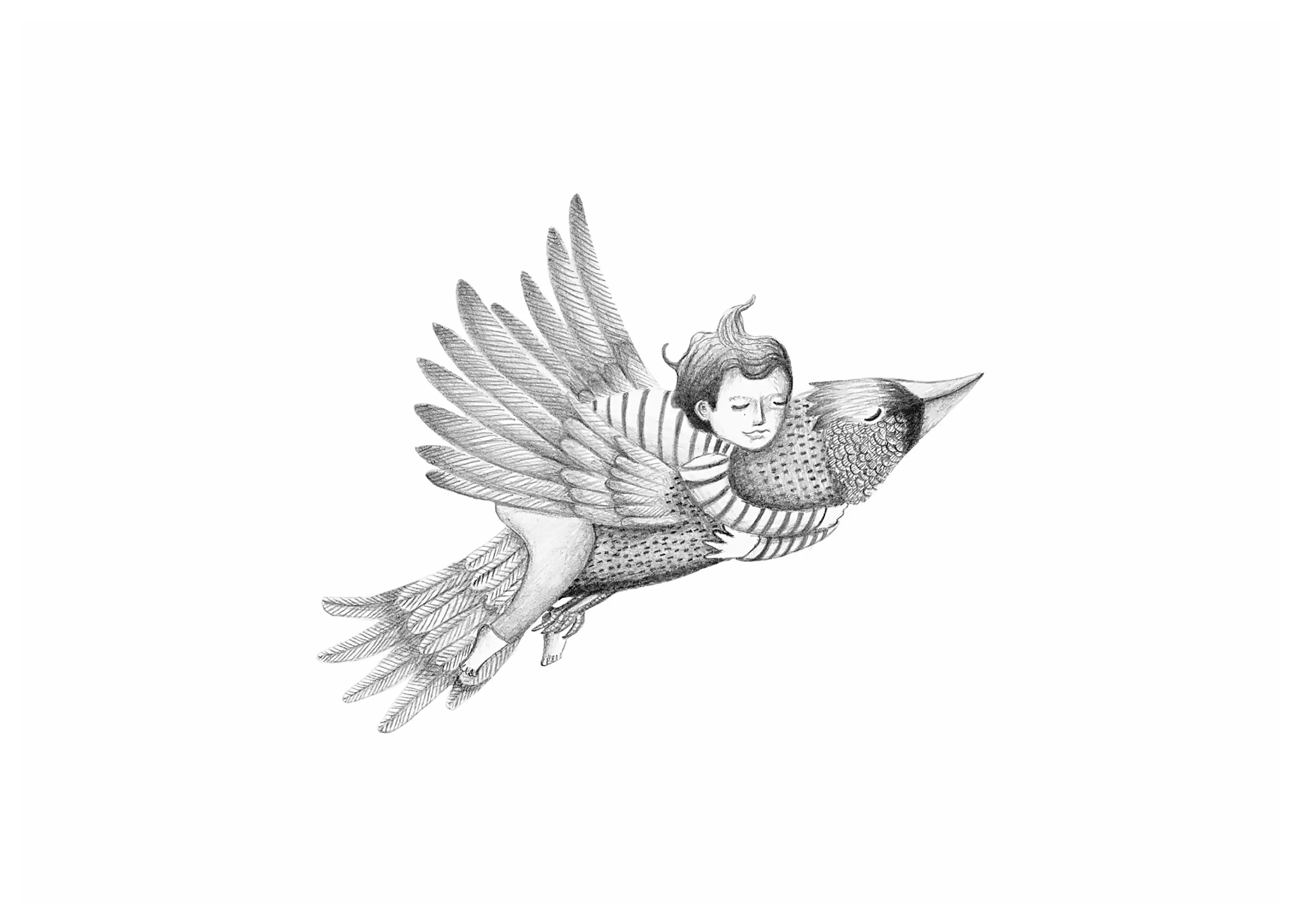 pajaro