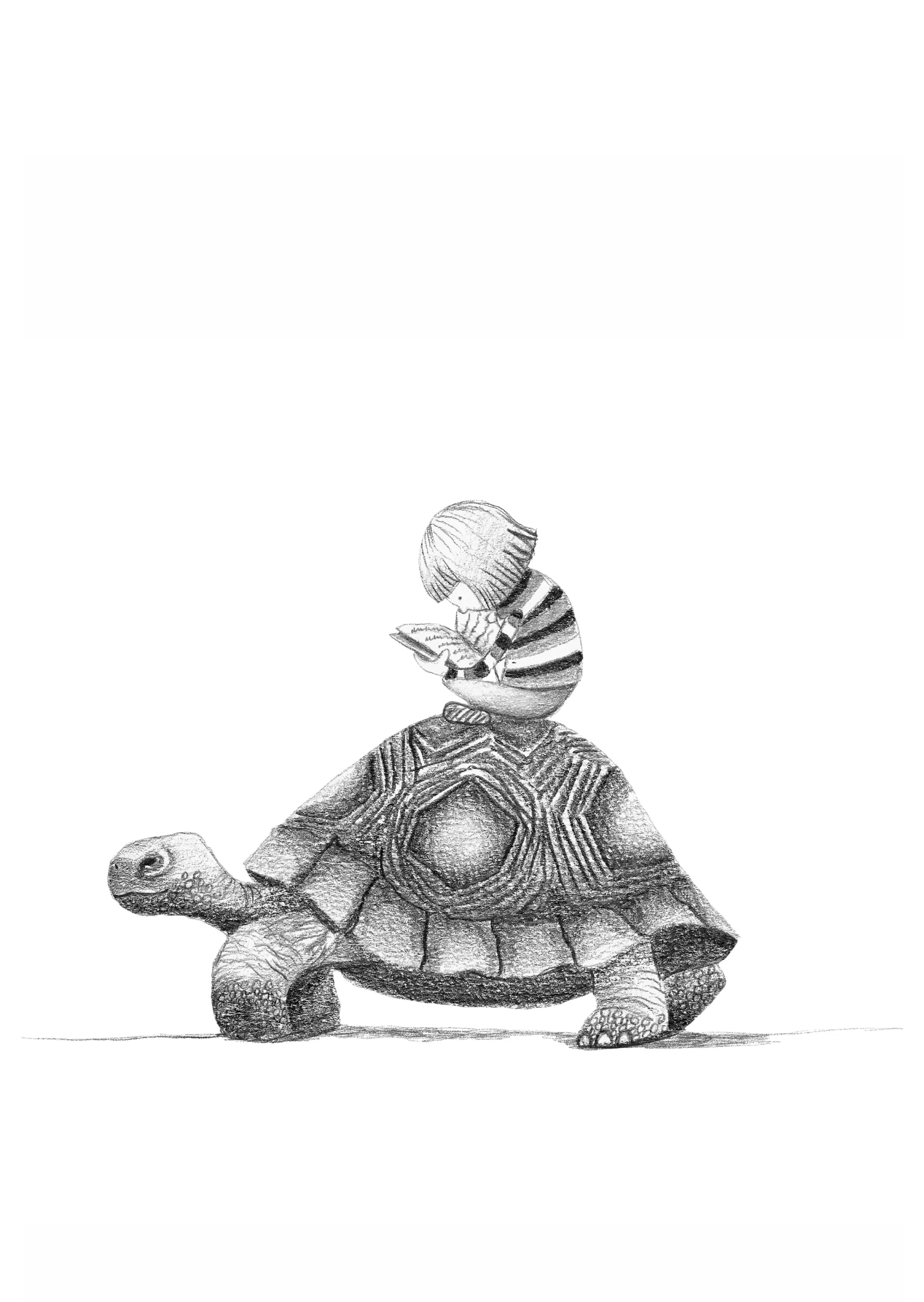 tortuga
